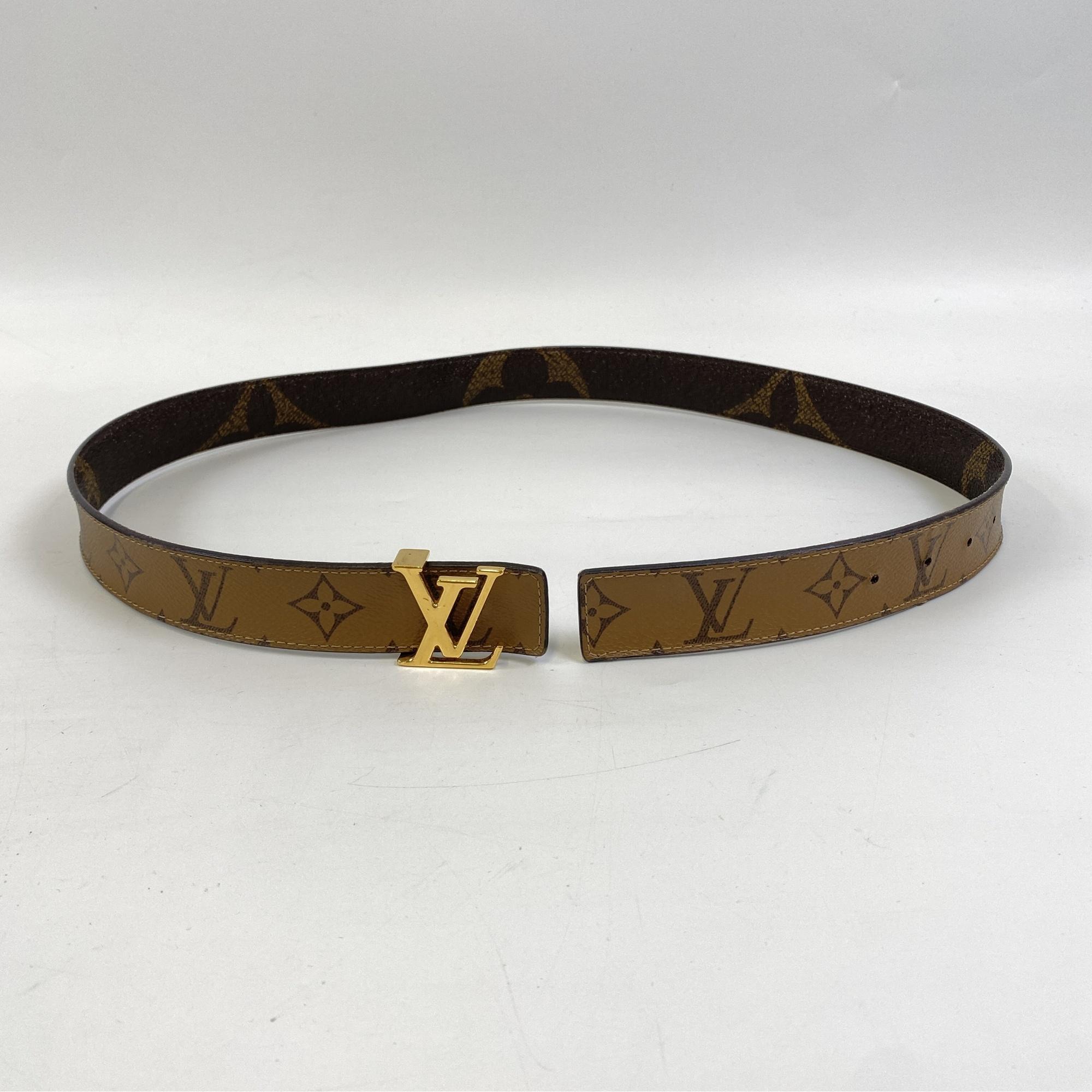 Louis Vuitton LV Iconic Belt Ceinture