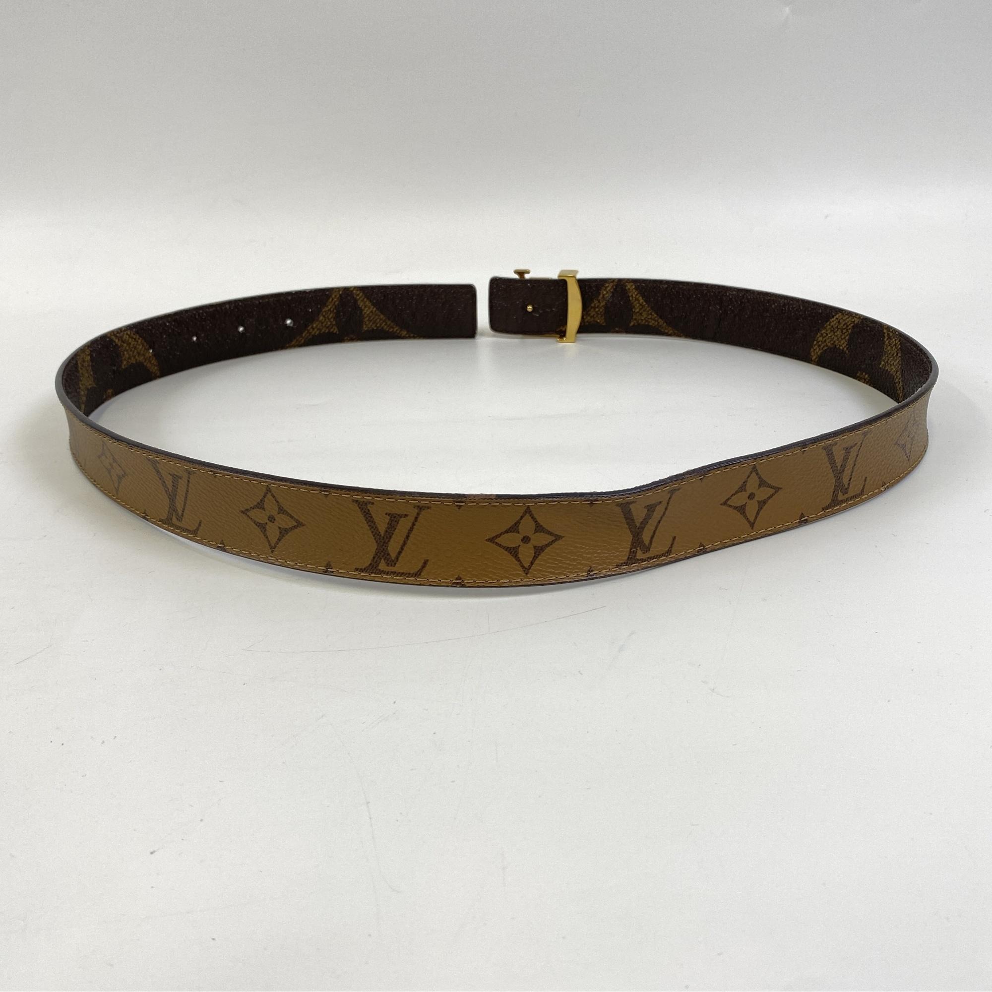 Louis Vuitton LV Iconic Belt Ceinture hover