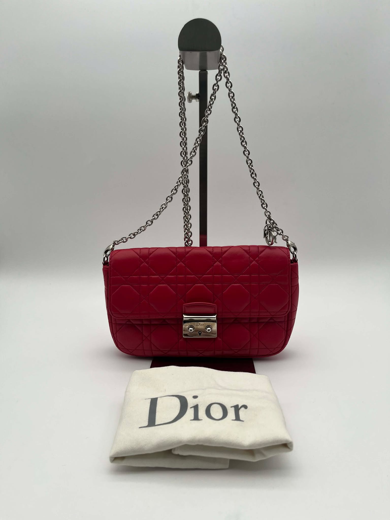 Miss Dior Promenade Pouch