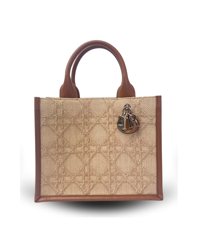 DIOR BOOK TOTE SMALL